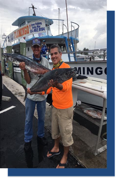 flamingo deep sea fishing|The Flamingo (2025) .